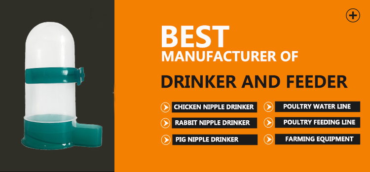 birds water bottle drinker Bebedero de botella de agua para pájaros