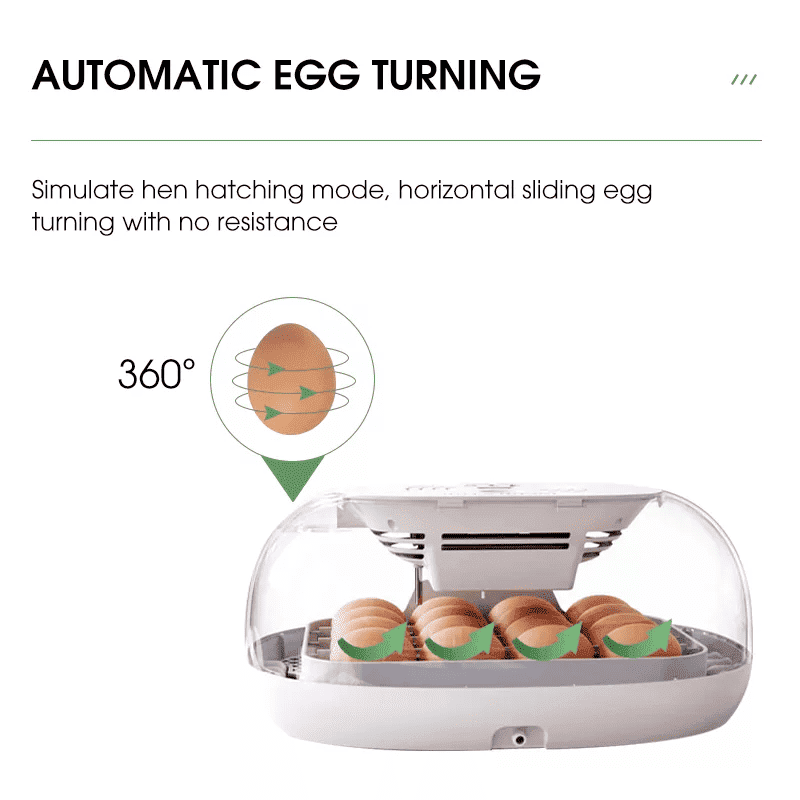 egg incubator (4) incubadora de huevos (4)