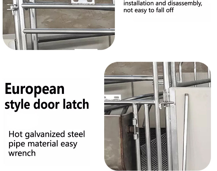 European sow bed Cama para cerdas europea