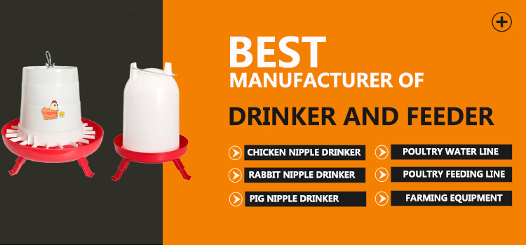 chicken feeder comedero para pollos