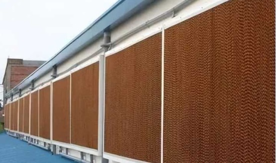 chicken farm3 granja de pollos3