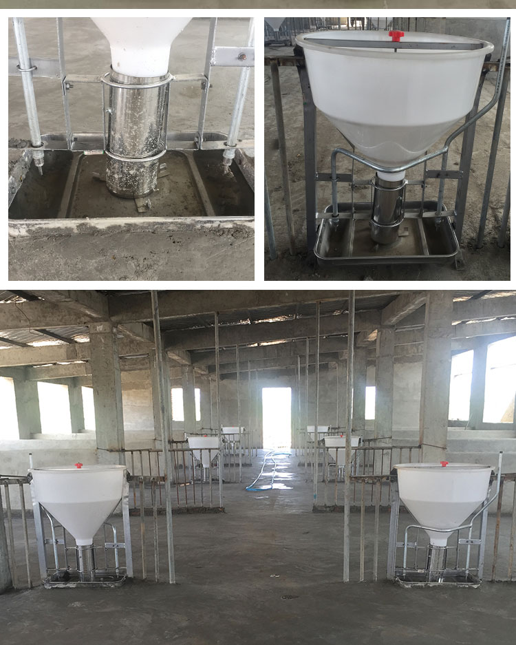 dry and wet pig feeder comedero para cerdos seco y húmedo