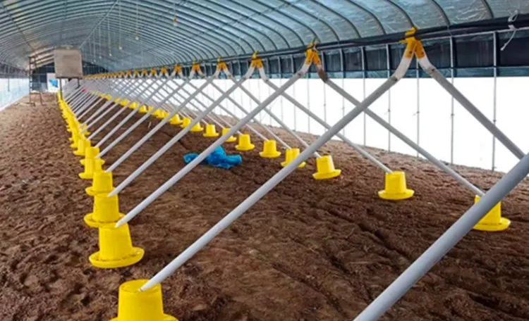 chicken equipment12 equipo para pollos12