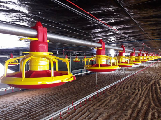 feeder pan2 plato alimentador2