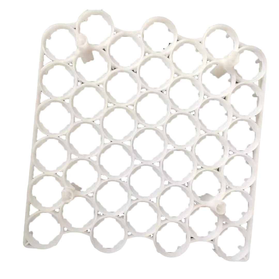 egg tray bandeja de huevos