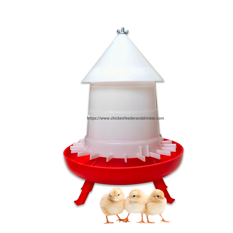 chicken feeder comedero para pollos