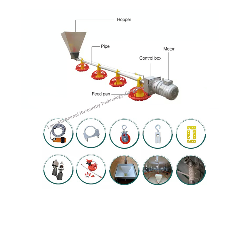 línea de alimentación
