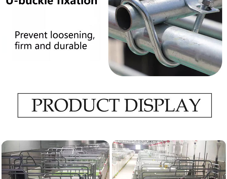 European sow bed Cama para cerdas europea