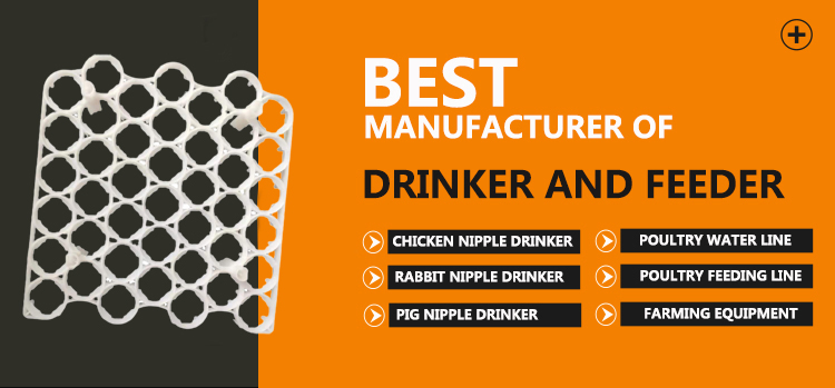 egg tray bandeja de huevos