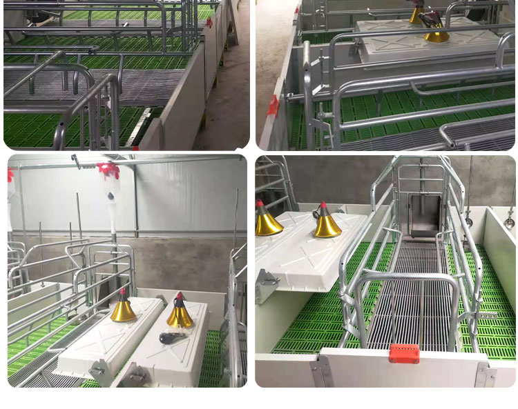 European sow bed Cama para cerdas europea