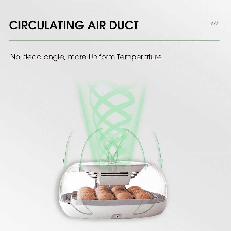 egg incubator (6) incubadora de huevos (6)