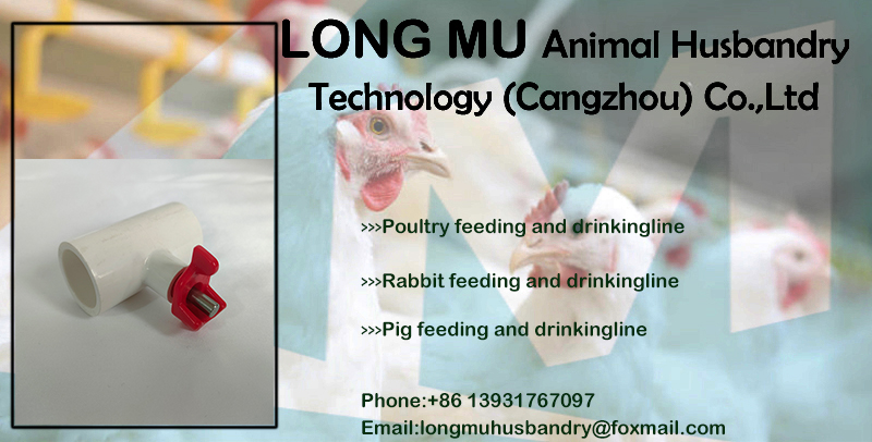 5f5415f6fd2392e4a442d39911a6bdf