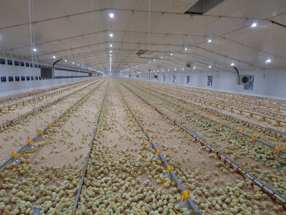 267578028_1961552987334244_4302867177921250454_n