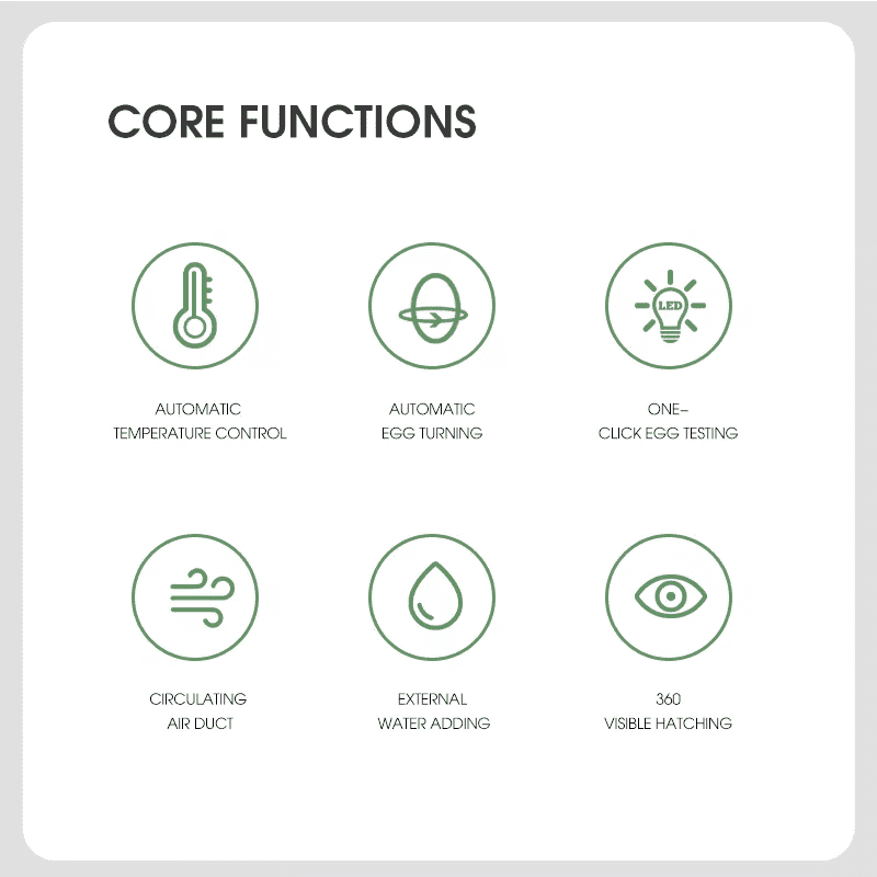 egg incubator (2) incubadora de huevos (2)