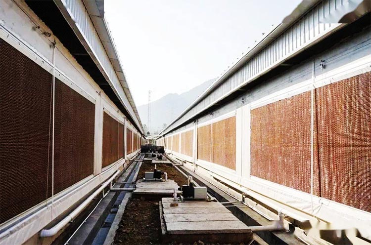 cooling pad cojín de enfriamiento