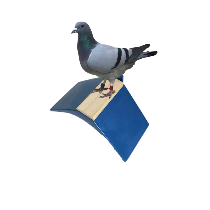 Pigeon Rest Roost Stand Puesto de descanso para palomas