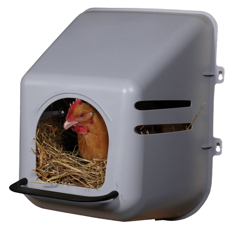 ChickenNest nido de pollo