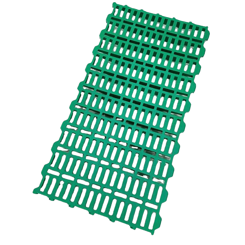 chicken floor piso de pollo