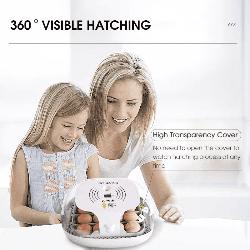 egg incubator (1) incubadora de huevos (1)