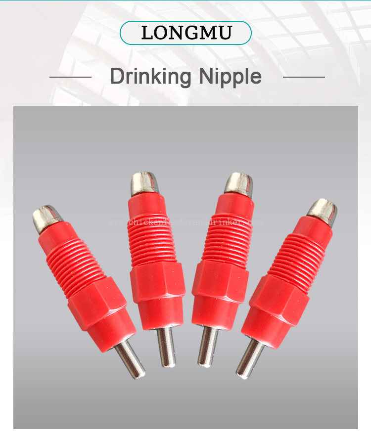 chicken drinker (8) bebedero para pollo (8)