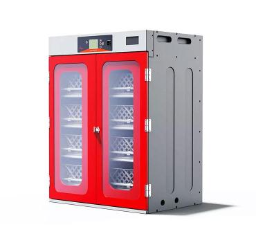 incubator incubadora