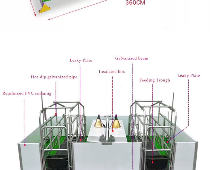 European sow bed Cama para cerdas europea
