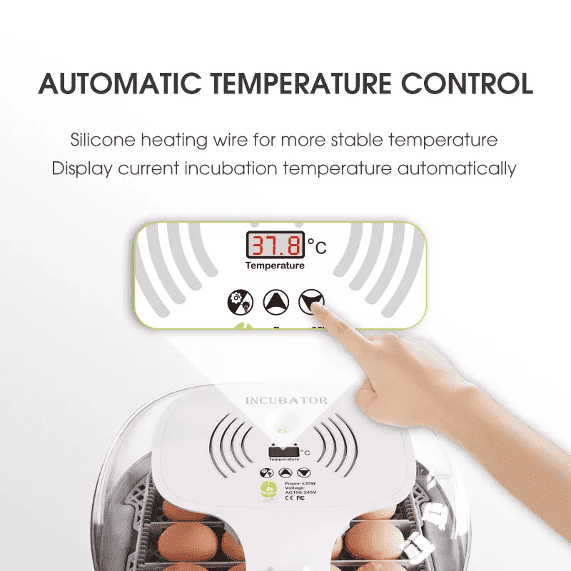 egg incubator (3) incubadora de huevos (3)