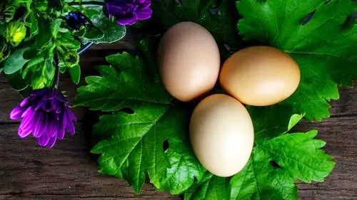 ¿Cuánto sabes sobre los huevos?