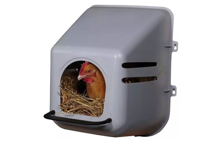 ¿Cuántos días tarda una gallina en nacer un pollito?