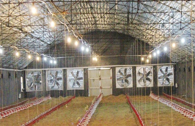 Puntos clave de la gestión de la ventilación invernal en gallineros enjaulados modernos(2)