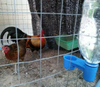Bebedero automático para pájaros, bebedero de botella de agua para palomas para jaula LMB-10