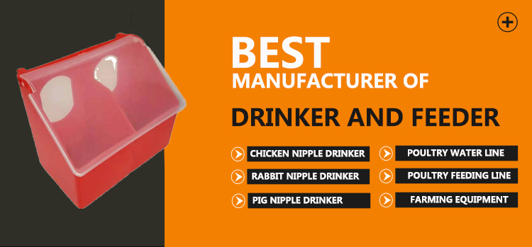 comedero para palomas con dos agujeros