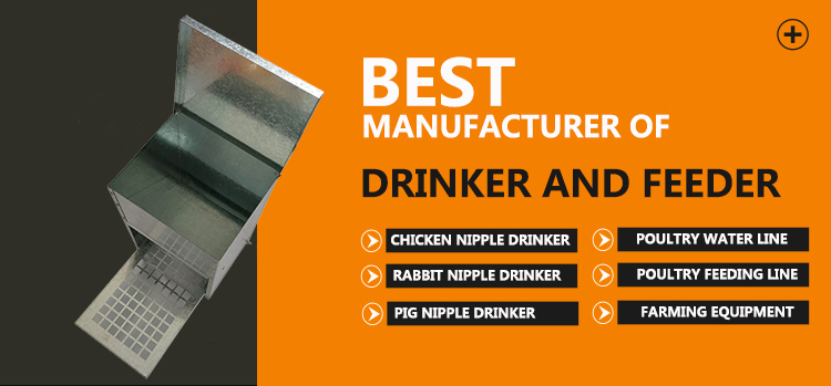 comedero para pollos