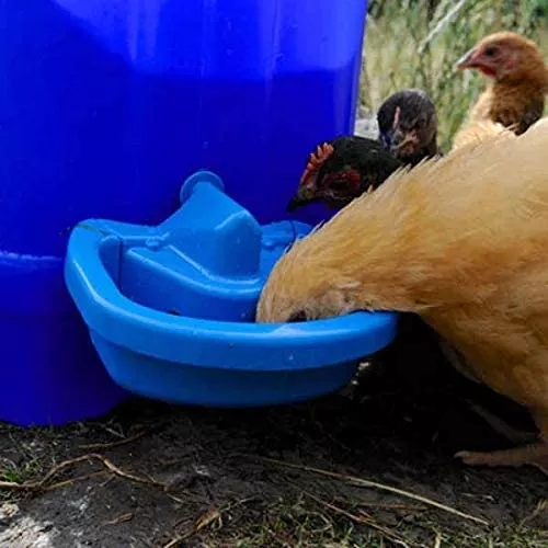 Bebedero automático para pollos, Maxi-taza, platos/taza para aves de corral, patos, pollos, gansos, conejos, sistema de bebedero para mascotas pequeñas, LM-123