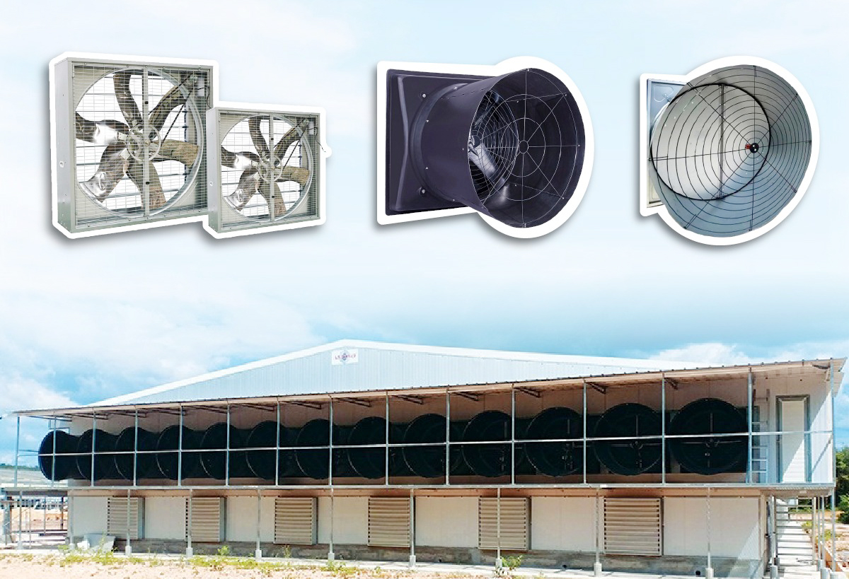 ¿Qué es la crianza de aves de corral? 