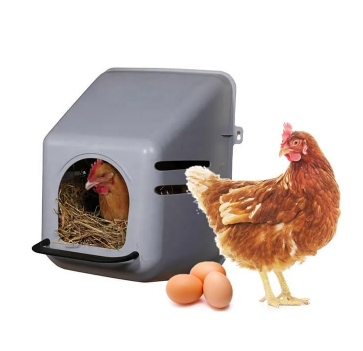 caja nido para pollos