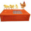 Jaulas de pájaros de transporte de plástico de alta calidad para pollos vivos/jaulas de transporte de pollos/caja de transporte de aves de corral