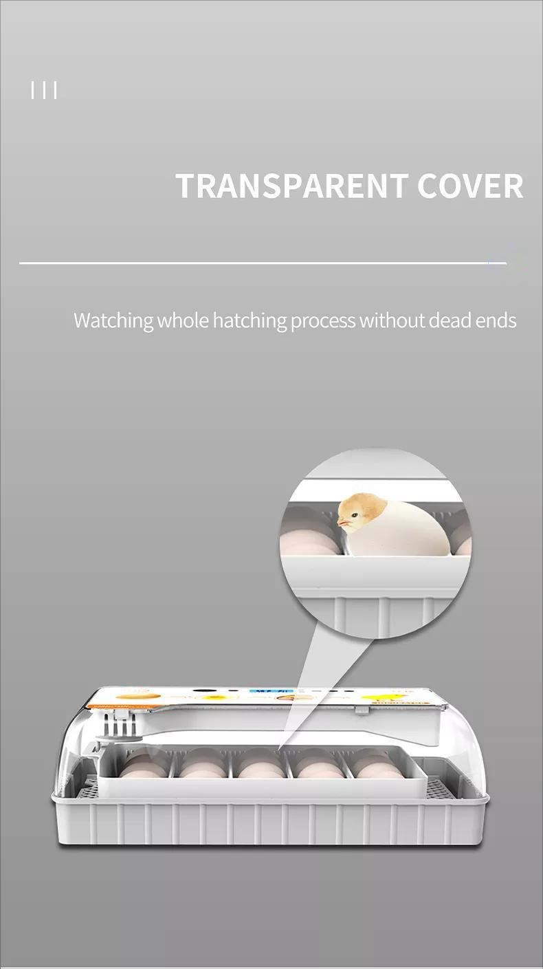 incubadora de huevos (3)