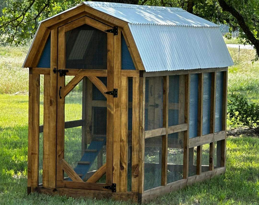 ¿Cuál es el mejor?Gallinero con tractor versus gallinero