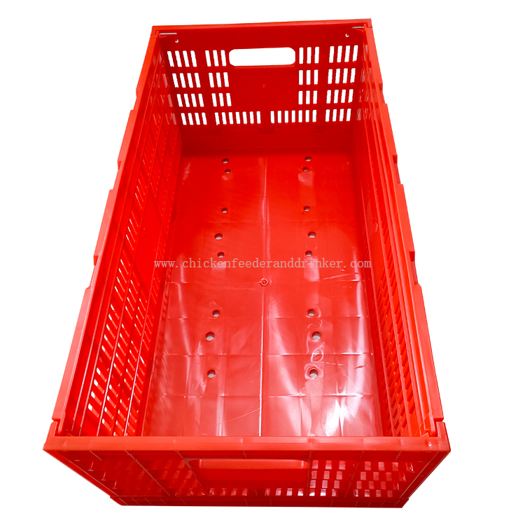 Productos de granja de pollos, bandeja para huevos, caja de transporte de huevos plegable, caja para aves de corral, LMC-05