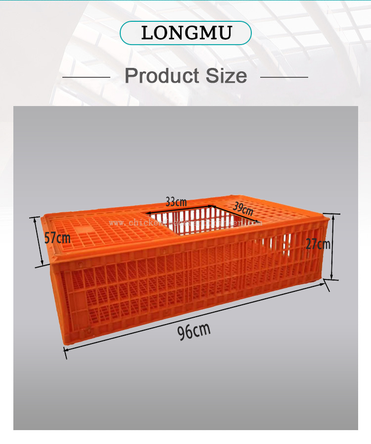 caja de transporte (2)