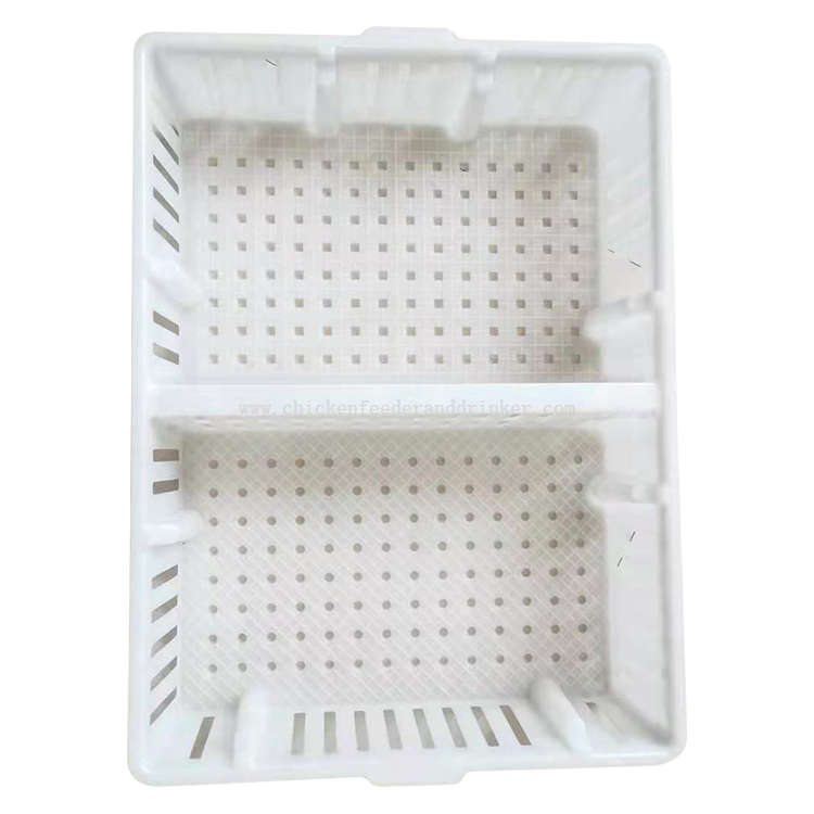 Jaulas de plástico para transporte de pollitos, cajas de transporte para aves de corral, jaula de transferencia, cubos para pollos, caja de transporte para pollitos LMC-11