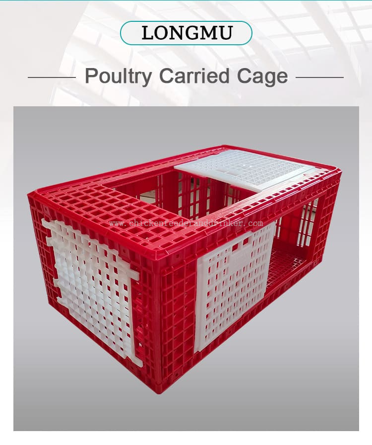 caja de transporte de pavos (3)