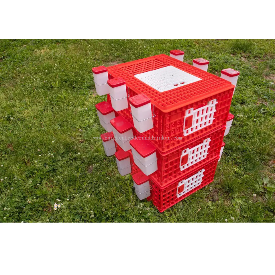 caja de transporte de pavos 1