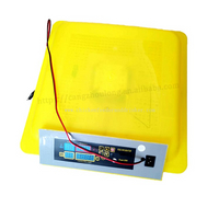 Incubadora de huevos completamente automática, Mini máquina para incubar huevos para 48 incubadoras de huevos de gallina, incubadoras de huevos para el hogar