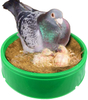 Nido de Pájaro de plástico, cuencos anidados para palomas, codornices, pájaros pequeños, mascota LMB-17