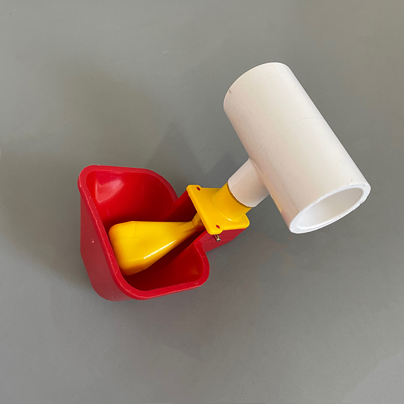 taza bebedor 