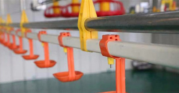 sistema de bebedero automático