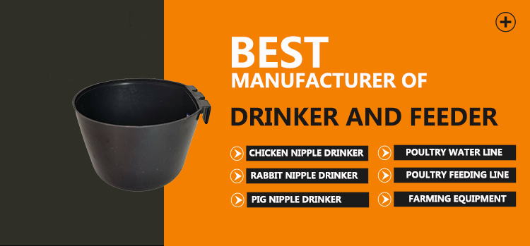 bebedero y comedero para pollos1