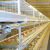 Jaula para ponedoras de pollos tipo H para cría automática de equipos avícolas Jaula para pollos